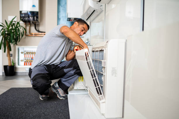 Best Home Air Vent Cleaning  in Citronelle, AL