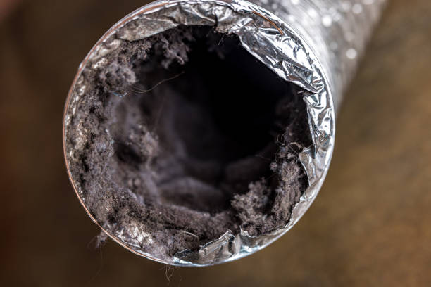 Best HVAC System Cleaning  in Citronelle, AL