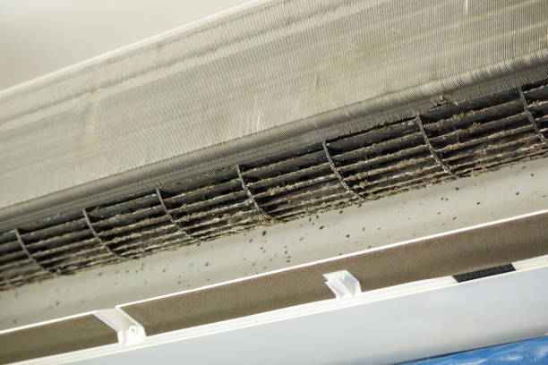 Best HVAC System Cleaning  in Citronelle, AL
